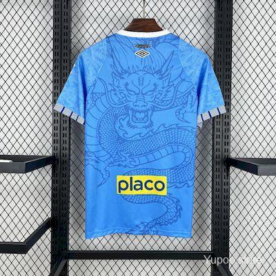 45dcd1a77b4b41e2.jpg 2025/26 Santos Blue Dragon Special Edition Jersey - Image 5